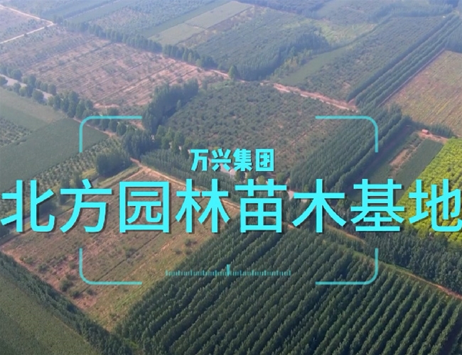 �ǹ��ɶԹ���-׷�󽡿�,����һ��ɳ���ľ