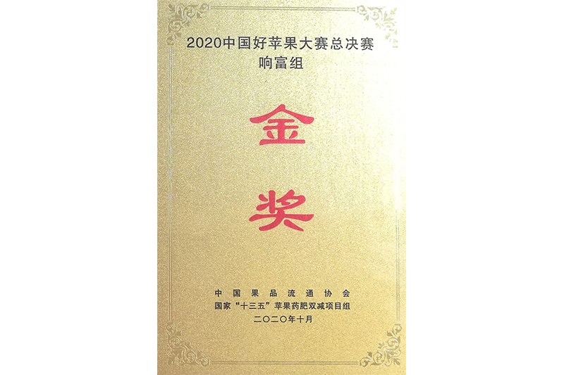 2020�й���ƻ�������ܾ����츻���