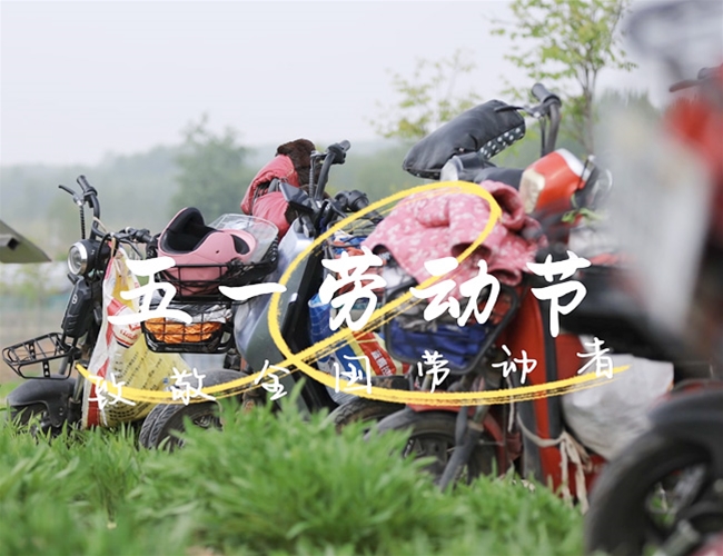 ��һ�Ͷ���