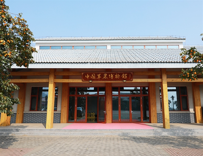 �й�ƻ�������