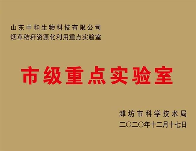 �м��ص�ʵ����