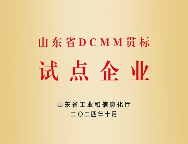 DCMM�Ե���ҵ