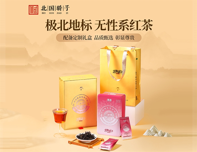 ����ϵ���