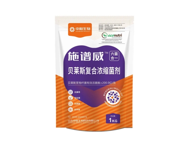 ʩ����-����˹����Ũ������