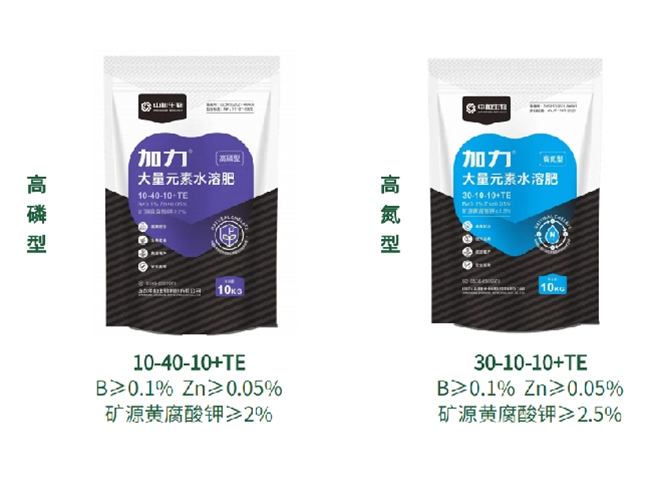 ����-����Ԫ��ˮ�ܷ�