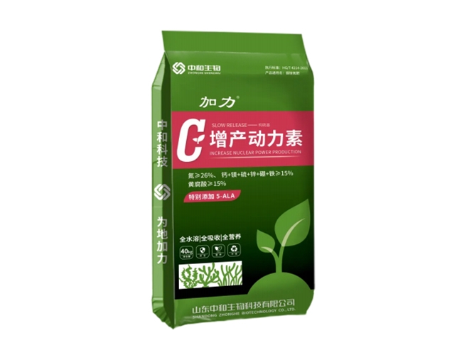 ����-����������