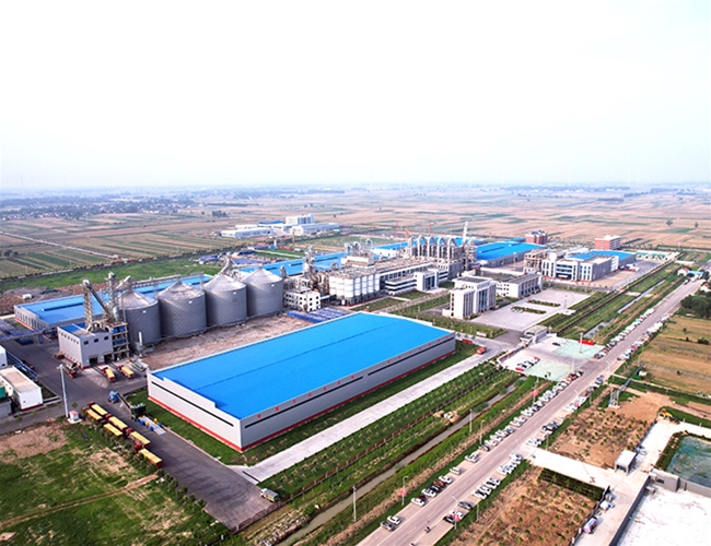 ɽ��ʡ100���������ӹ���Ŀ