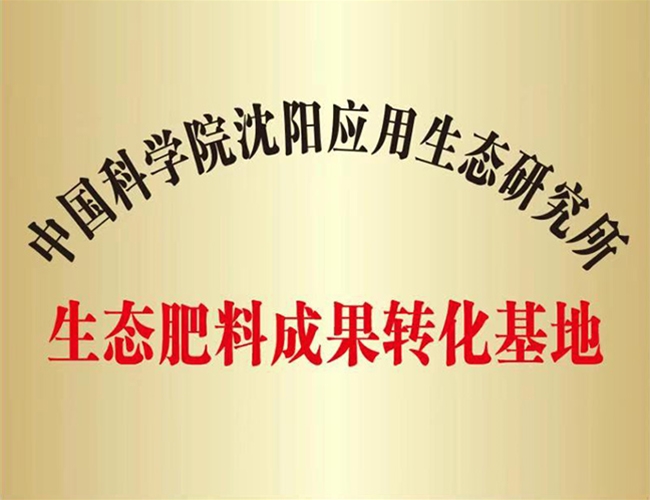 ��̬����Ч��ת������